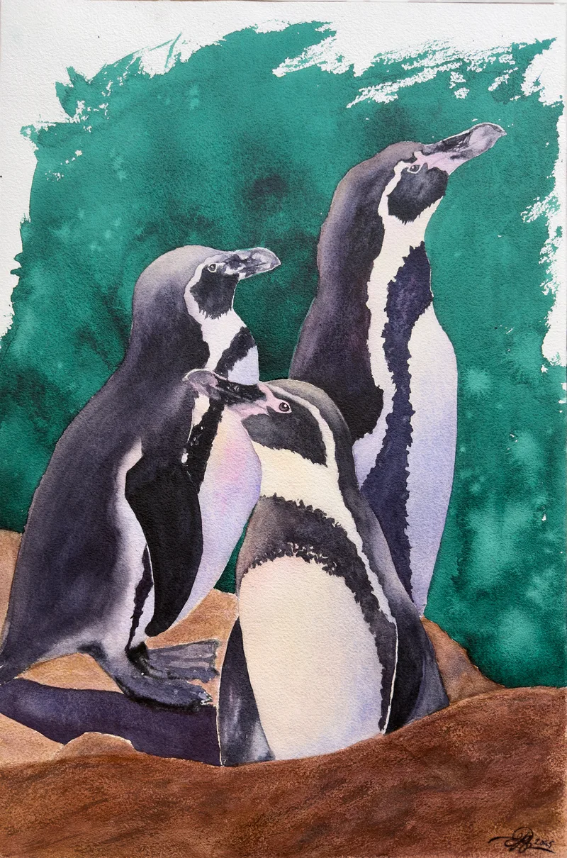 Pingüinos en el Sol