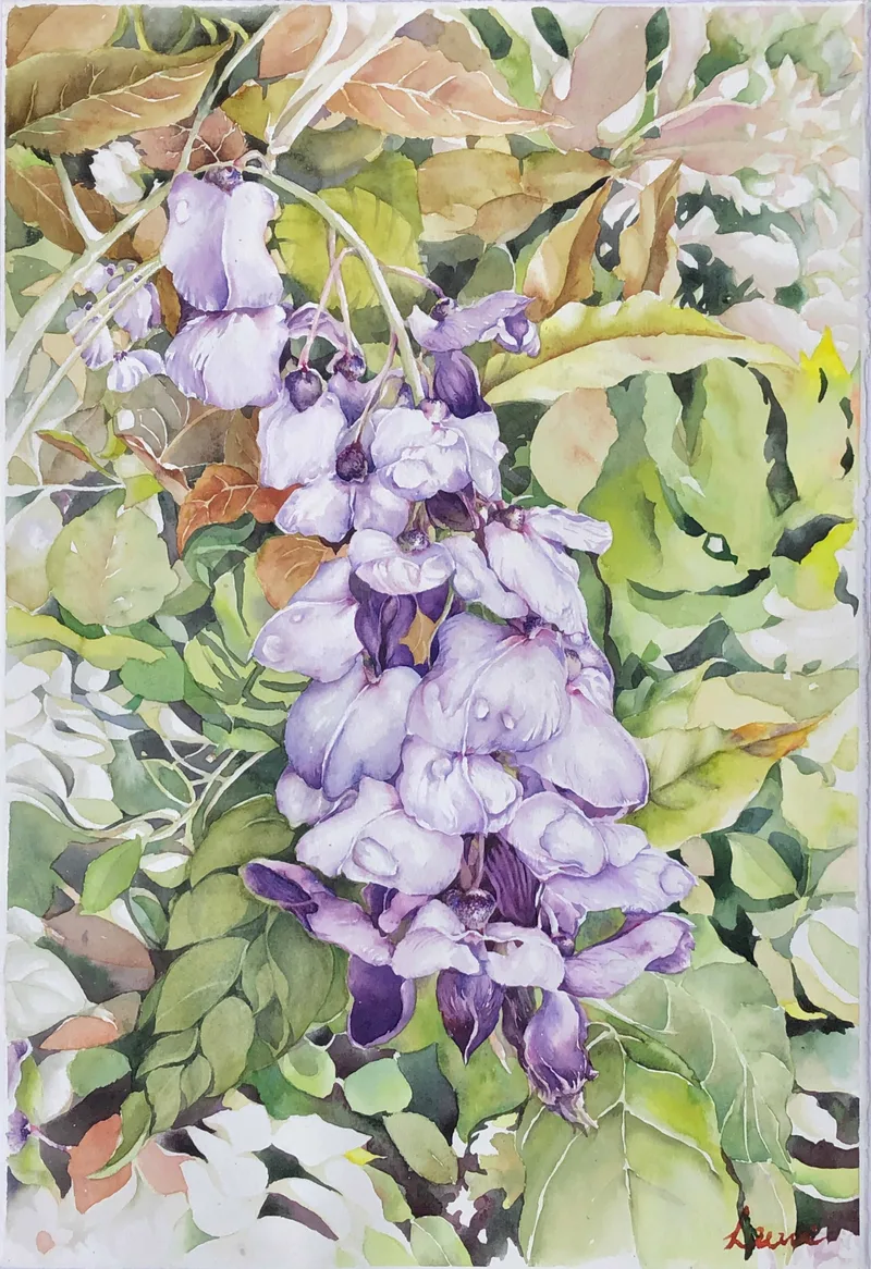 Wisterias