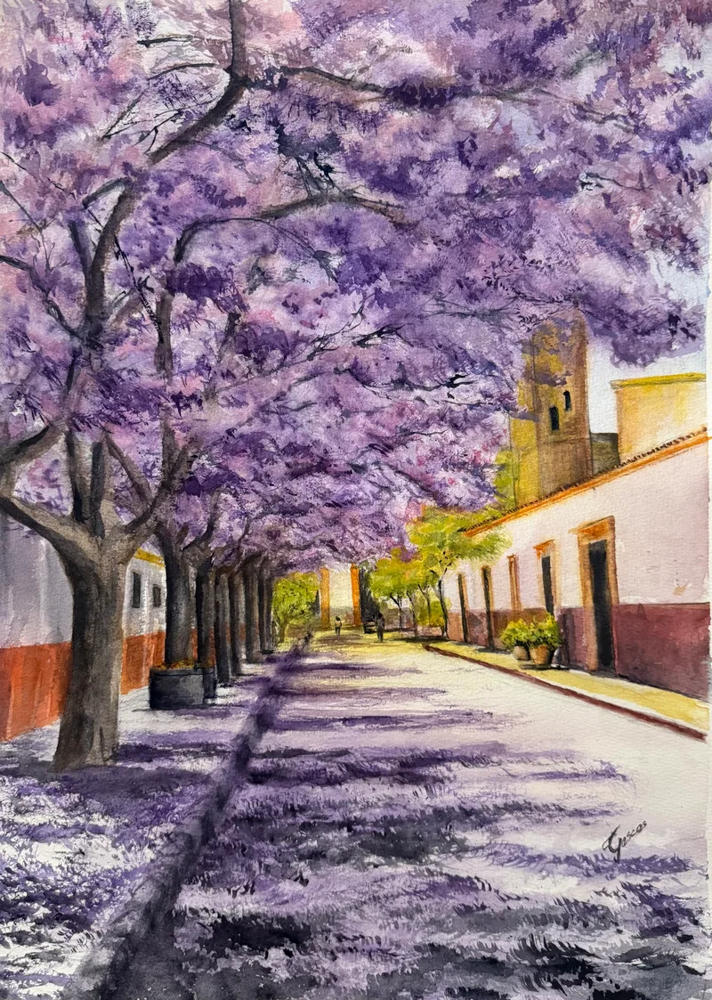 Jacarandas en flor