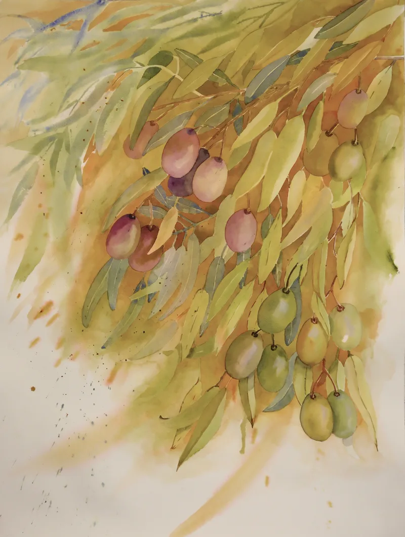 Tiempo de Aceitunas