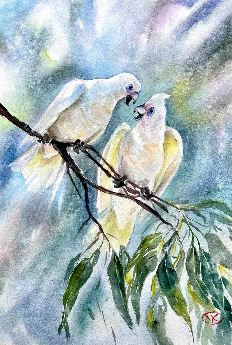 Cockatoos