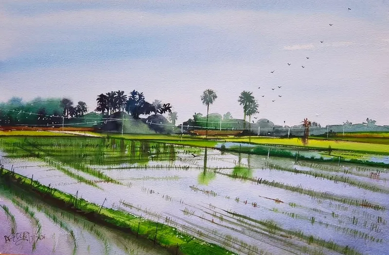 Paddy Fields