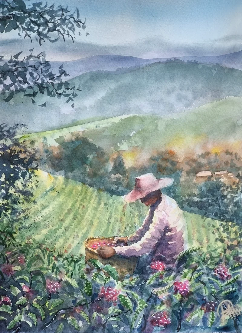 Cafetal II