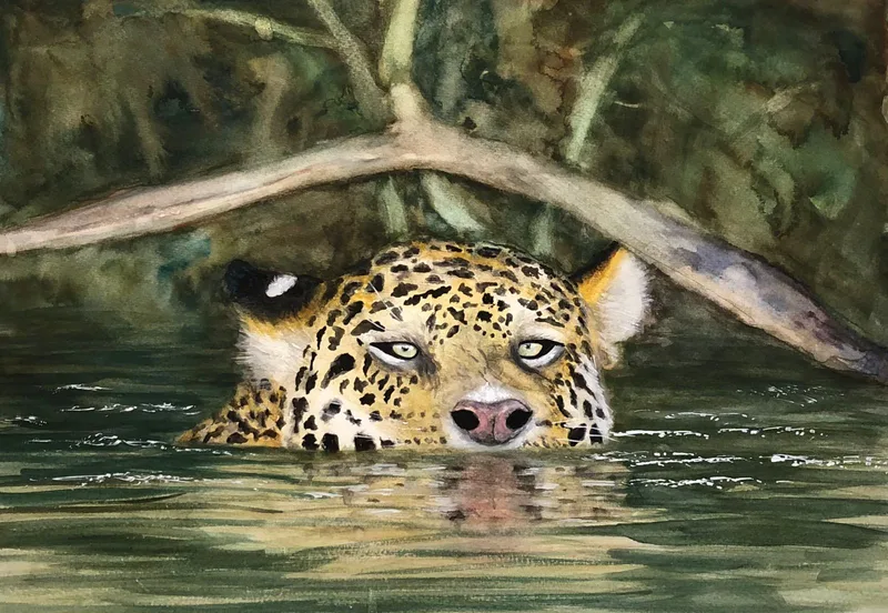 Onça no Pantanal