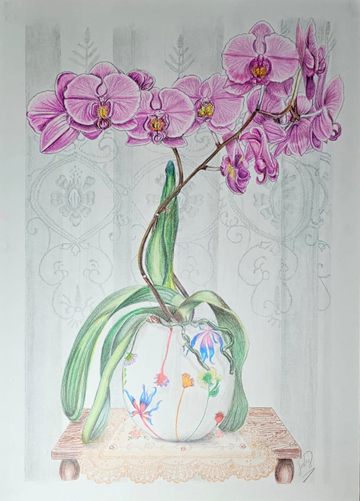 Orquideas