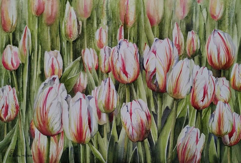 Tulipany
