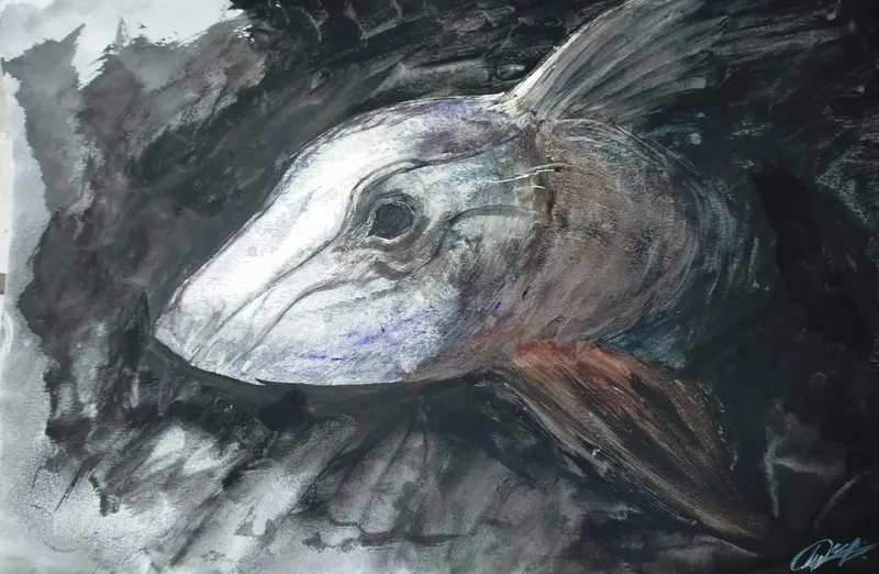 Chimeridae