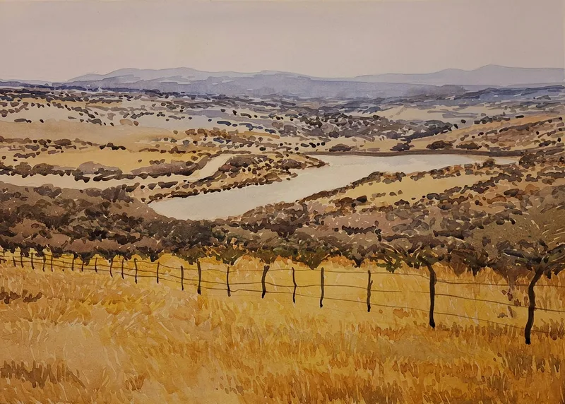 Camino a la presa