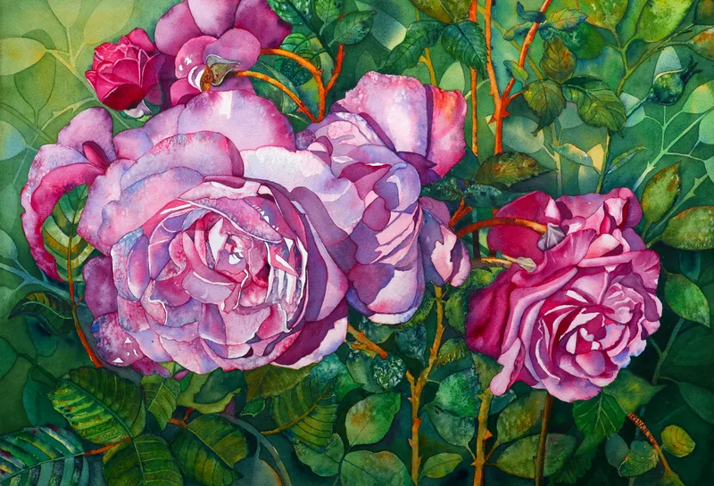 Pink Roses