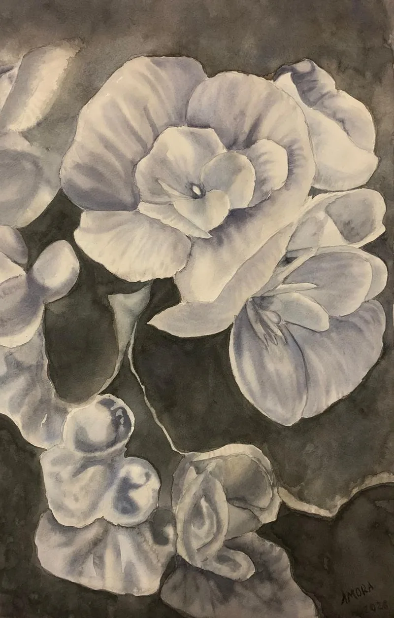 Flores